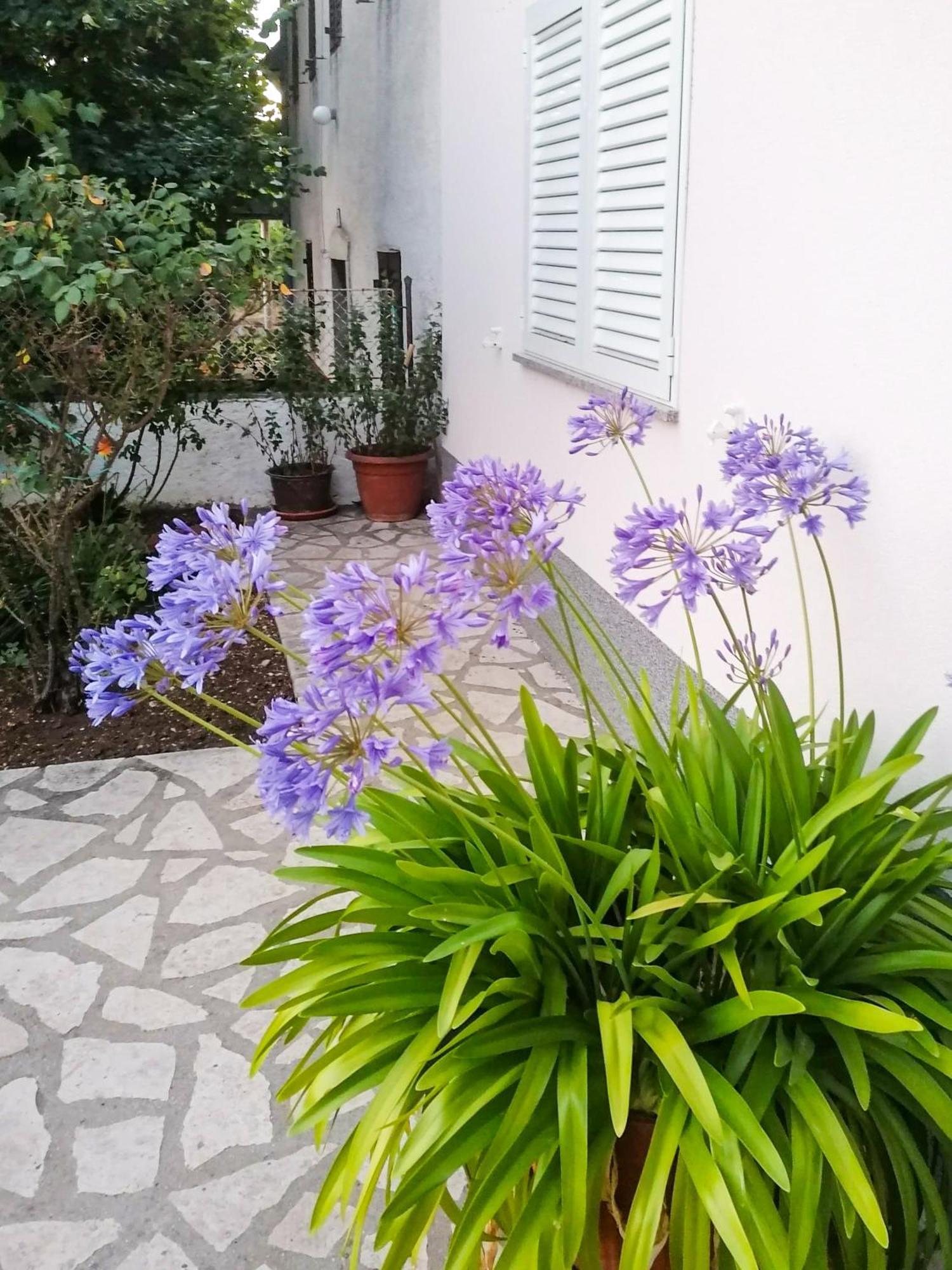 Apartman Lavanda Sa Bazenom I Okucnicom 4* Hreljin 외부 사진